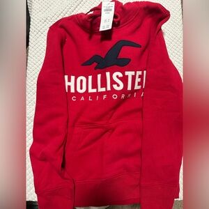 Brand new with tags and original package hollister hoodie